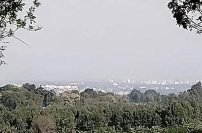 Two Acres for Sale in Tigoni