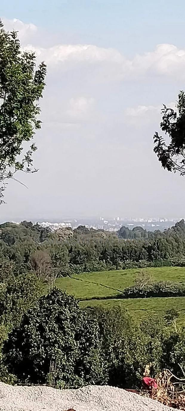 Two Acres for Sale in Tigoni