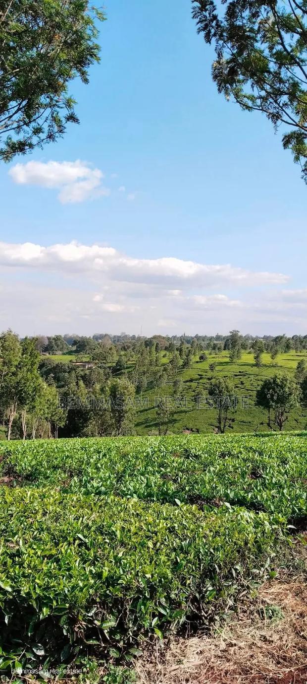 Two Acres for Sale in Tigoni