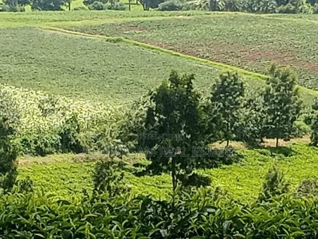 Two Acres for Sale in Tigoni