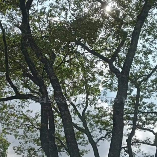 9 Acres for Sale at Karen Hardy
