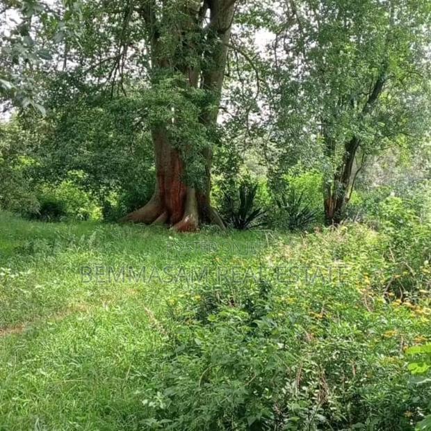 9 Acres for Sale at Karen Hardy
