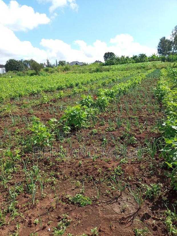 Plot for Sale in Murera Coffee Estate