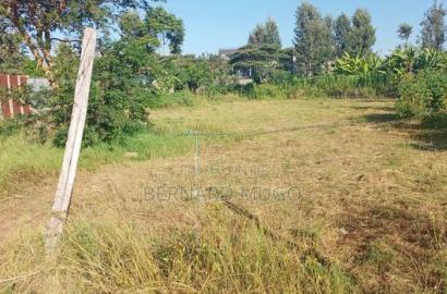 Plot for Sale in Mugutha