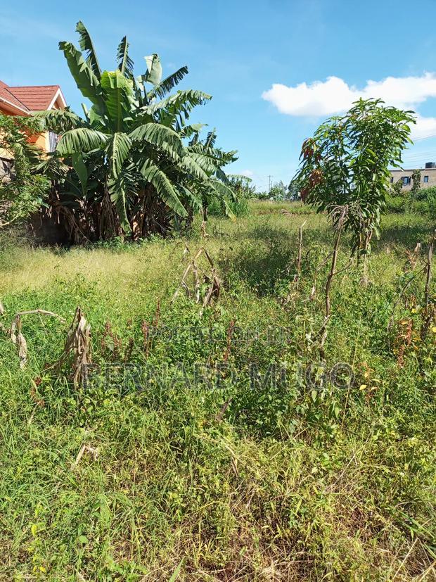 Plot in Murera Coffee, Mugutha