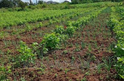 Plot for Sale in Murera Coffee Estate