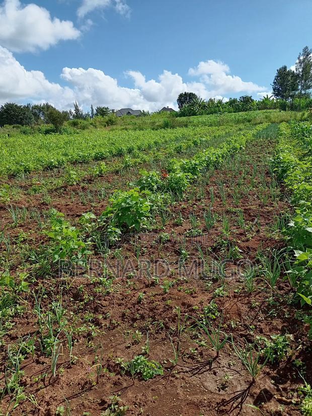 Plot for Sale in Murera Coffee Estate