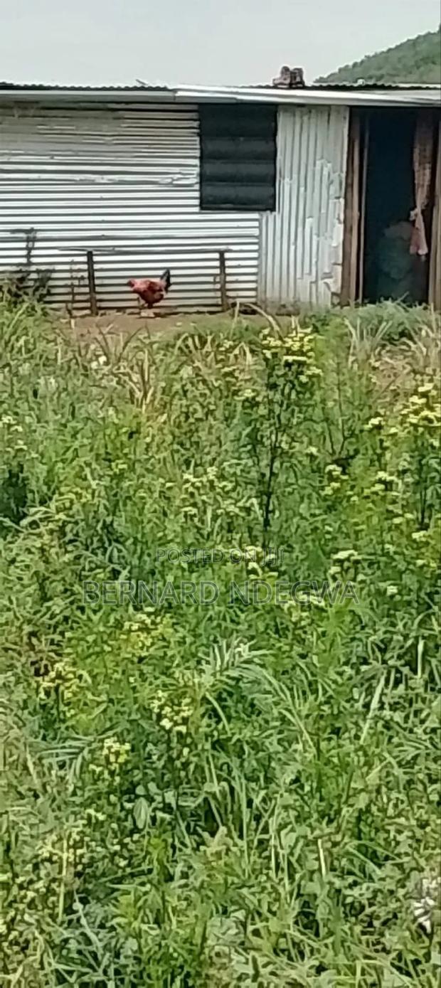 Nagum Eburru Gilgil 5 Acres