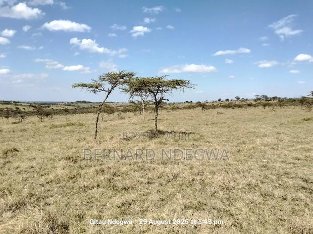 Flexible Sale: From 1 Acre to 1000