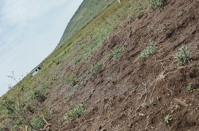 Nagum Eburru Gilgil 5 Acres