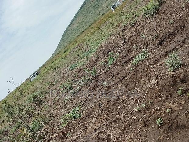 Nagum Eburru Gilgil 5 Acres