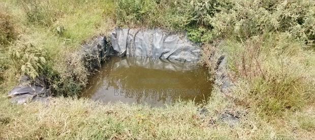 Nagum Eburru Gilgil 5 Acres