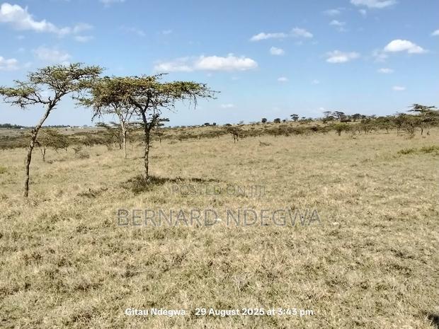 Flexible Sale: From 1 Acre to 1000