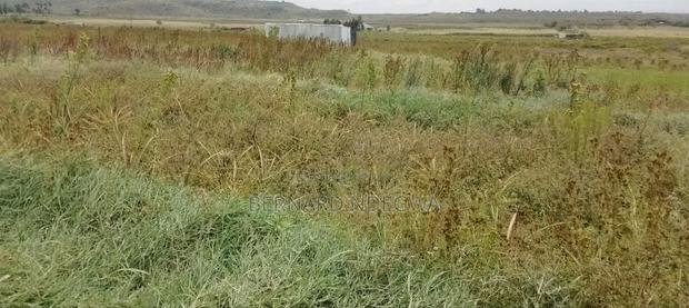 Nagum Eburru Gilgil 5 Acres