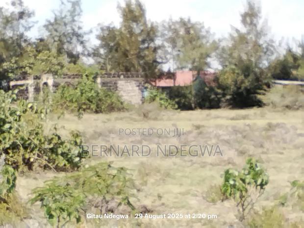 Rare Deal: 50x100 Plot At Just Ksh 900,000 - Way Below Market Value!