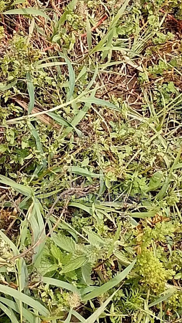 Nagum Eburru Gilgil 5 Acres