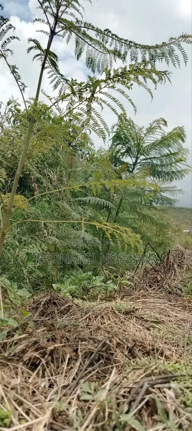Nagum Eburru Gilgil 5 Acres