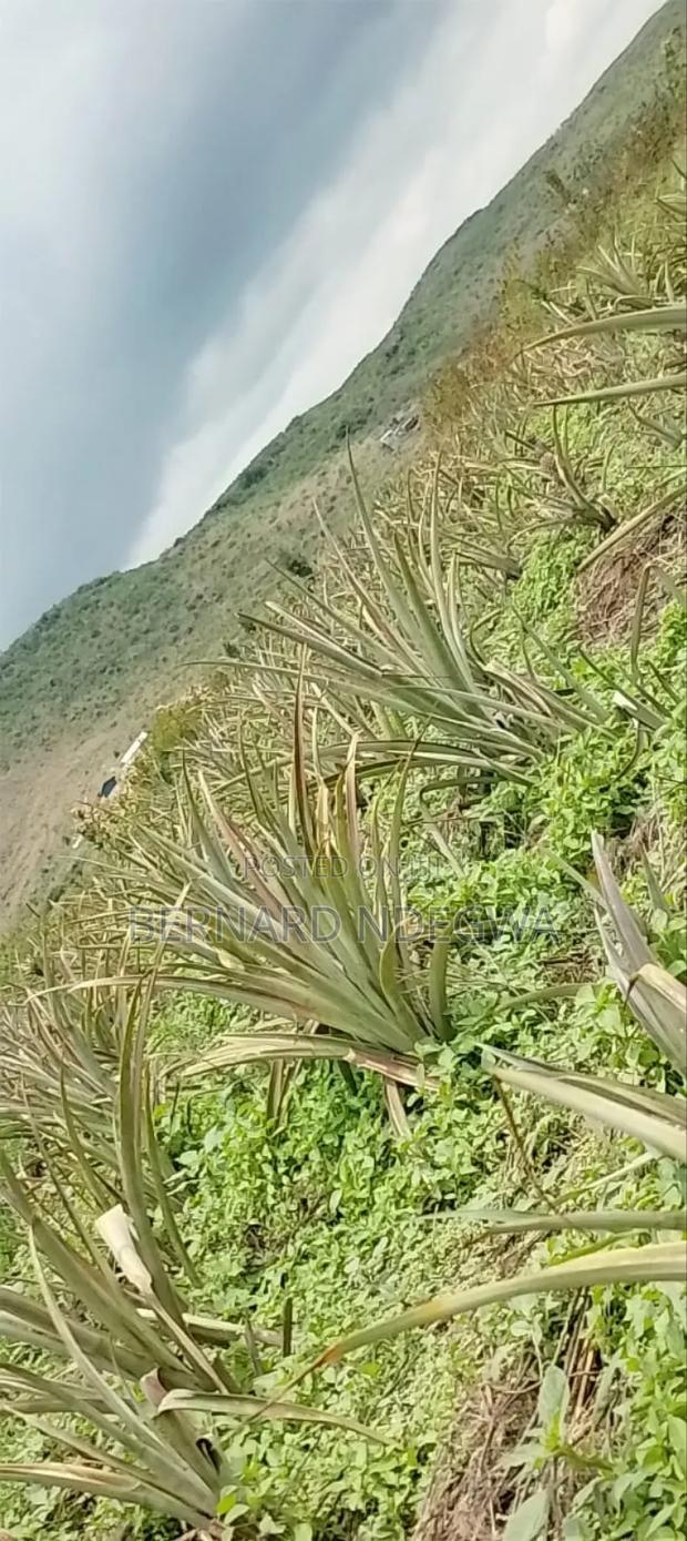 Nagum Eburru Gilgil 5 Acres