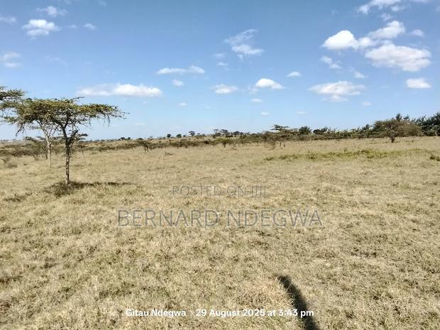 Flexible Sale: From 1 Acre to 1000