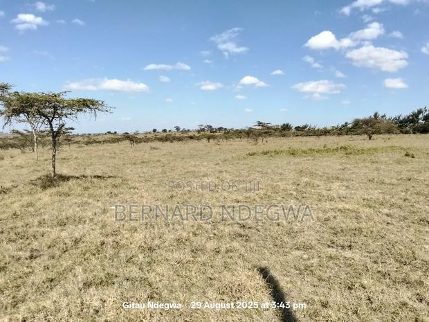 Flexible Sale: From 1 Acre to 1000