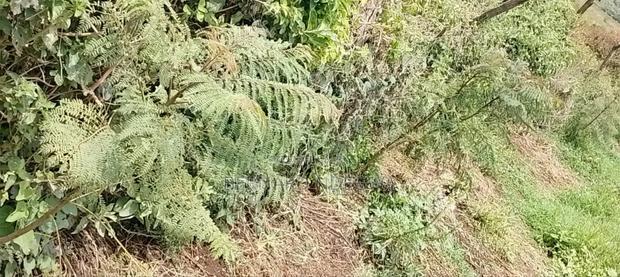 Nagum Eburru Gilgil 5 Acres
