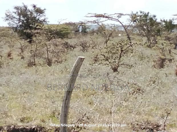 Rare Deal: 50x100 Plot At Just Ksh 900,000 - Way Below Market Value!