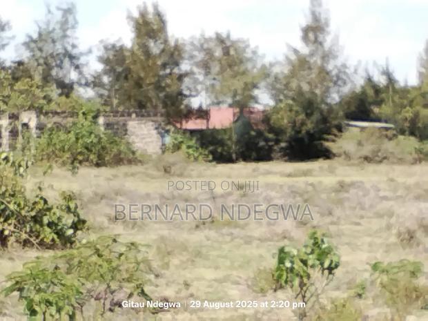 Rare Deal: 50x100 Plot At Just Ksh 900,000 - Way Below Market Value!