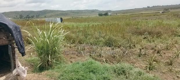 Nagum Eburru Gilgil 5 Acres