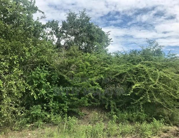 20 Acres Land for Sale in Malindi
