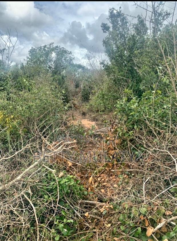 20 Acres Land for Sale in Malindi
