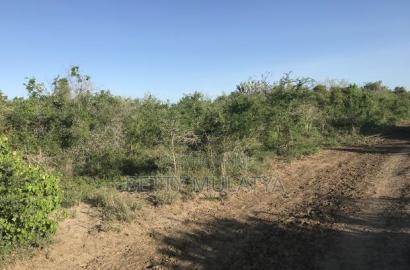 20 Acres Land for Sale in Malindi