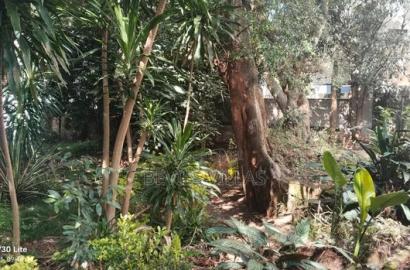 A Half Acre Commercial Land for Sale in Weslands