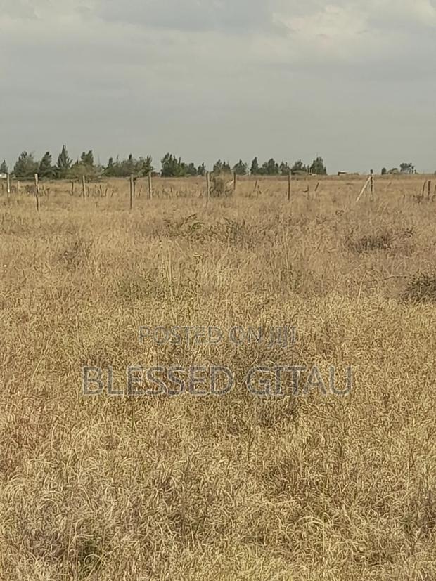 50 X 100 Crestview Gardens Phase 2 Residential Properties