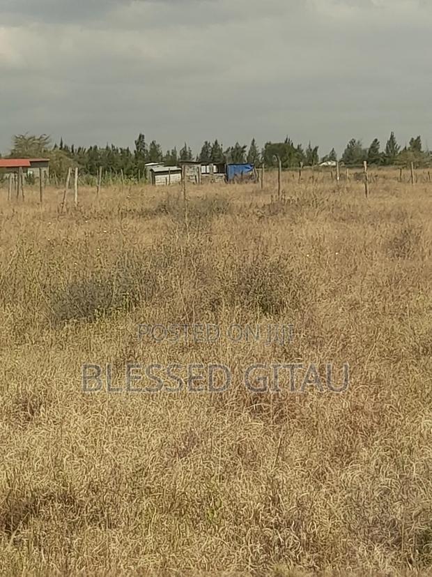 50 X 100 Crestview Gardens Phase 2 Residential Properties