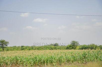 Prime Plots in Sofia Machakos