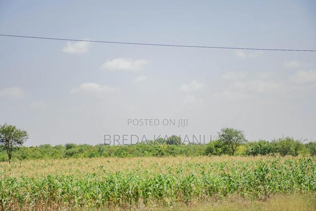 Prime Plots in Sofia Machakos