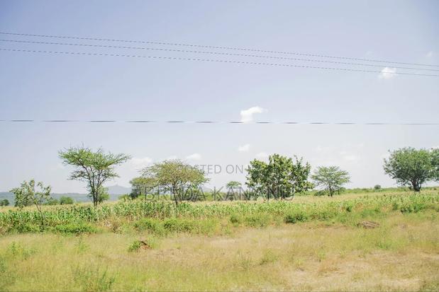 Prime Plots in Sofia Machakos