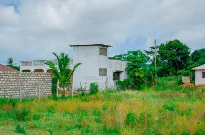 Prime Plots in Malindi