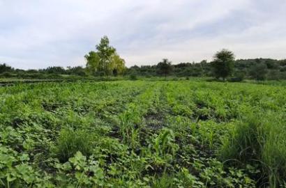 Matuu Plots for Sale