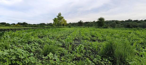Matuu Plots for Sale