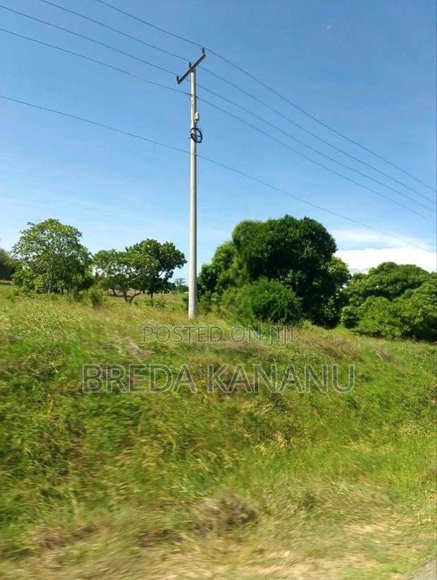 Prime Plots in Malindi
