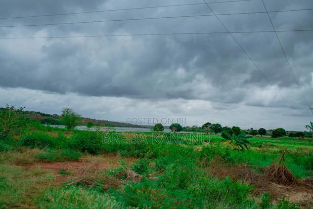 Prime Plots in Malindi