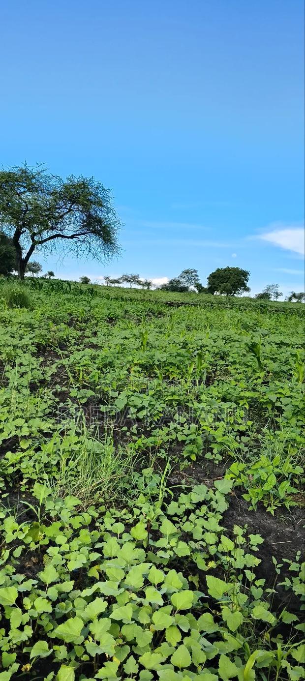 Matuu Plots for Sale