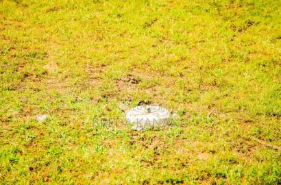 Residential Plots in Kisumu