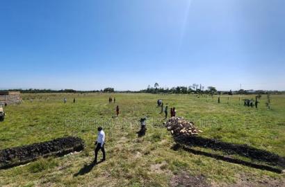 1/8th Acre Plots for Sale in Juja Farm