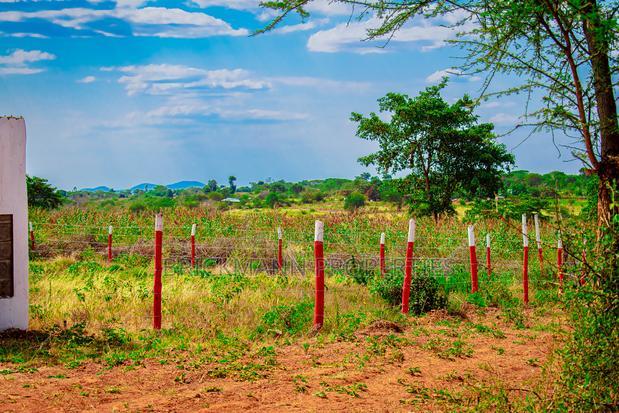 Plots for Sale in Matuu Kivandini