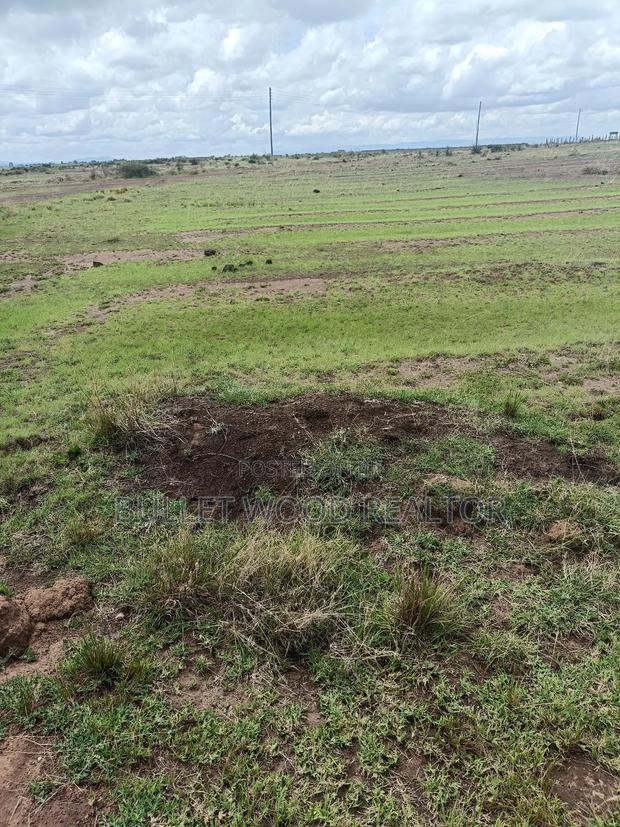Three Quarters Land for Sale at Juja Mastore