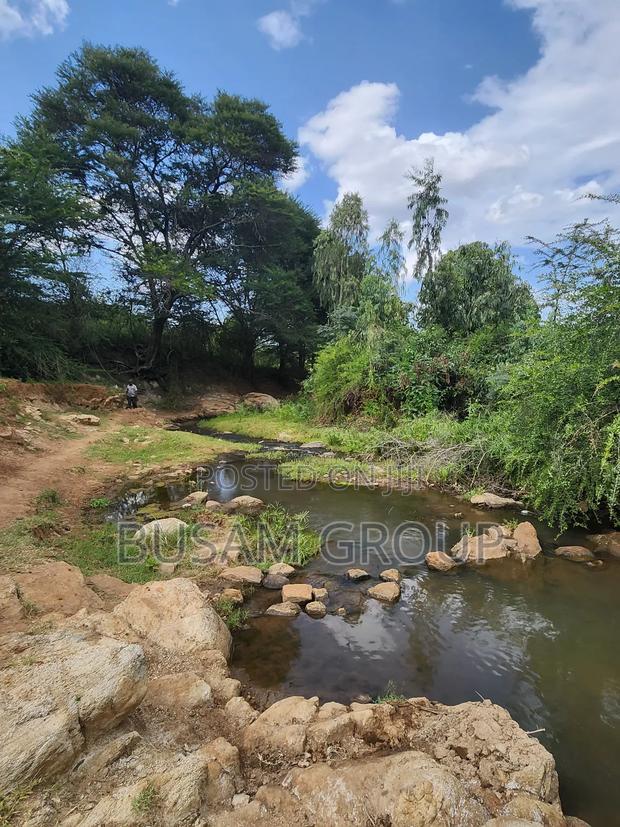 9 Acres for Sale at Sofia