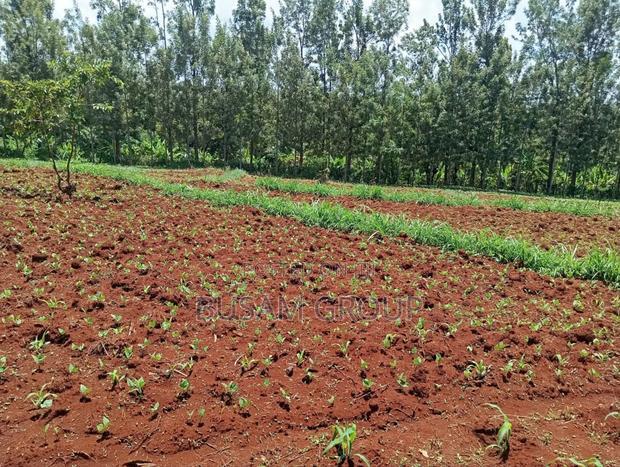 1/8th Acre for Sale at Muranga