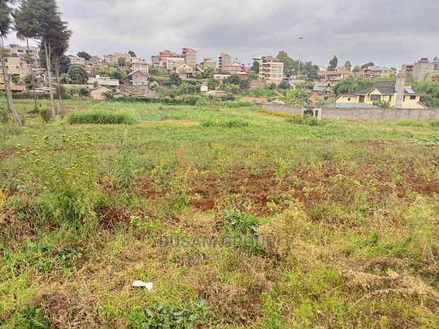 Kabuku Plots for Sale